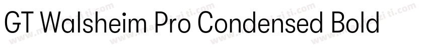 GT Walsheim Pro Condensed Bold字体转换